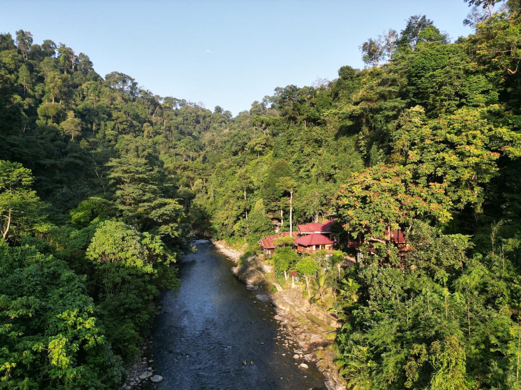 Kupu Kupu Garden Guest House & Cafe Bukit Lawang Exterior photo