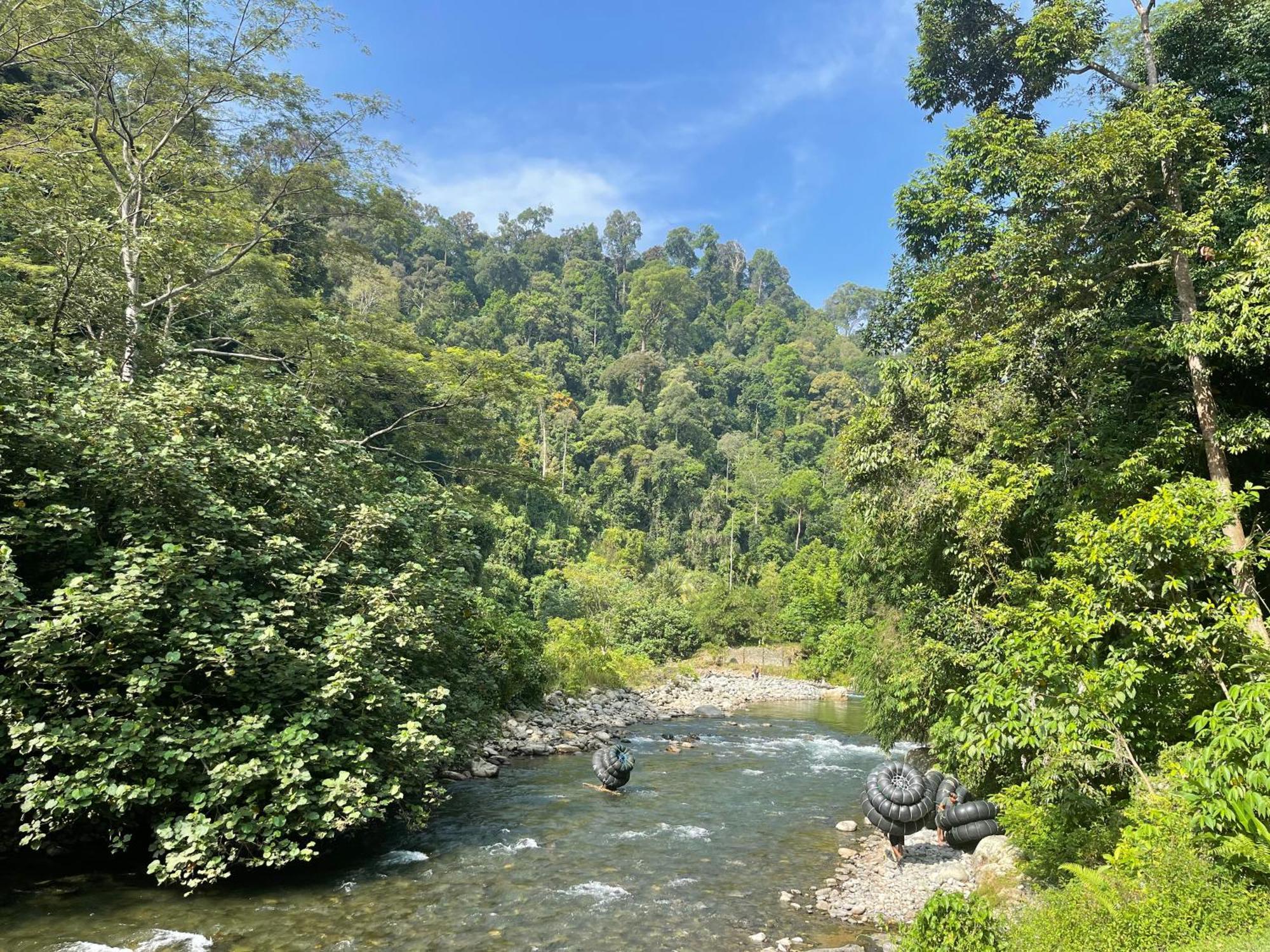 Kupu Kupu Garden Guest House & Cafe Bukit Lawang Exterior photo