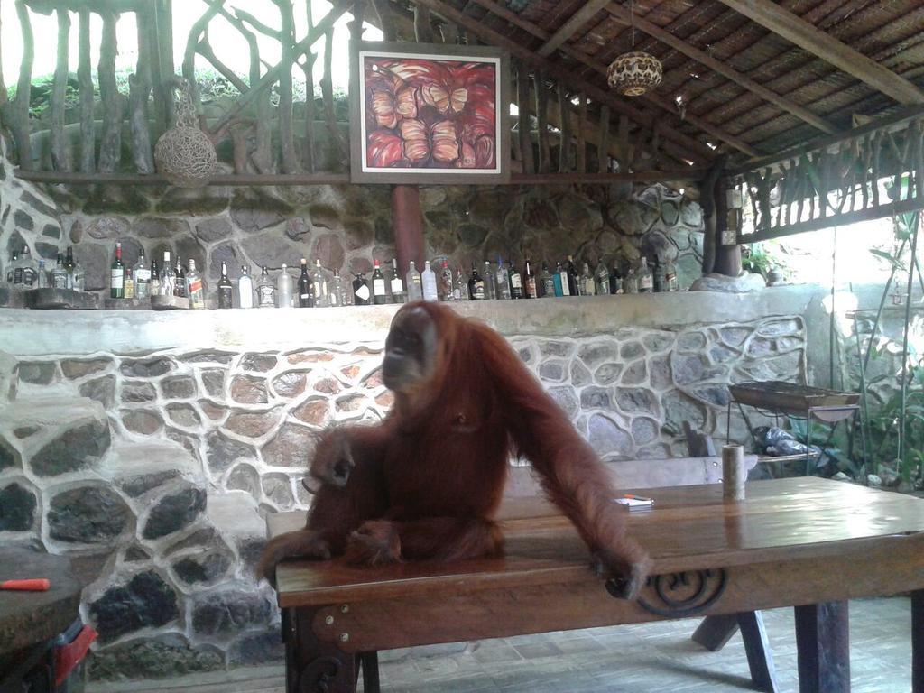 Kupu Kupu Garden Guest House & Cafe Bukit Lawang Exterior photo