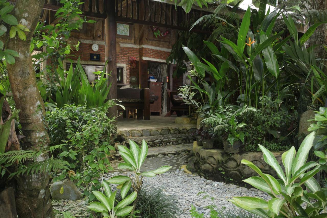 Kupu Kupu Garden Guest House & Cafe Bukit Lawang Exterior photo